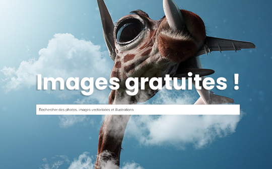 Banques d’images gratuites !